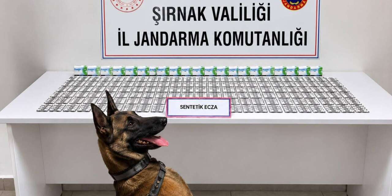 Şırnak’ta Bir Haftada 9 Kişi Tutuklandı, 60 Aranan Şahıs Yakalandı