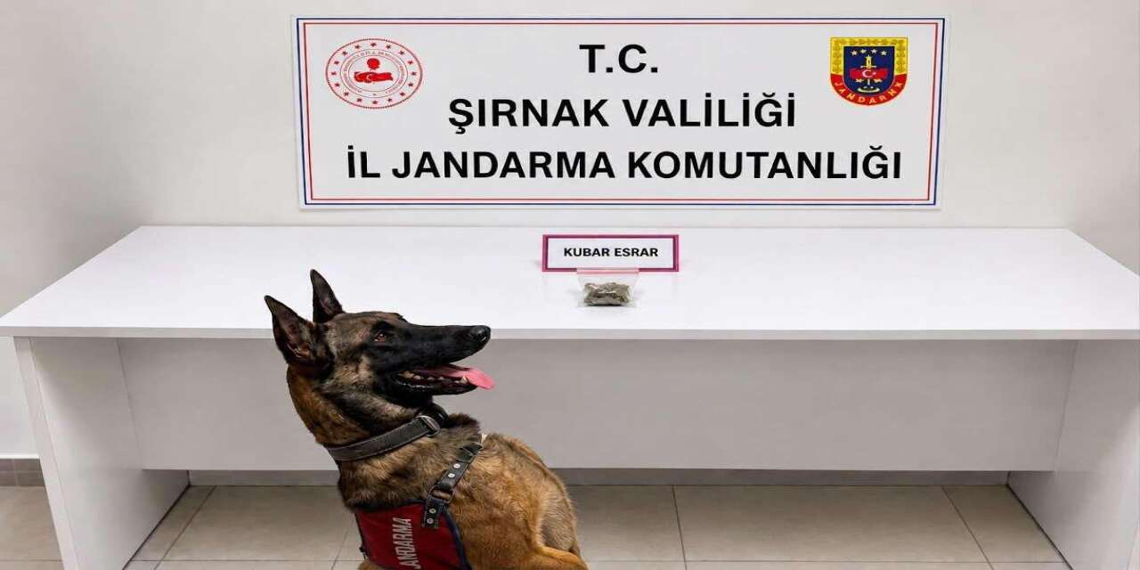 Şırnak’ta Bir Haftada 9 Kişi Tutuklandı, 60 Aranan Şahıs Yakalandı