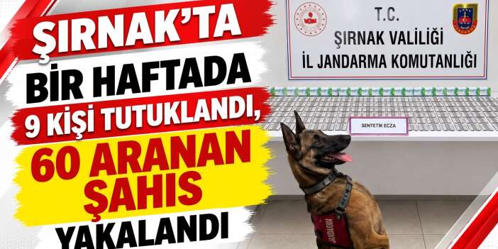 Şırnak’ta Bir Haftada 9 Kişi Tutuklandı, 60 Aranan Şahıs Yakalandı