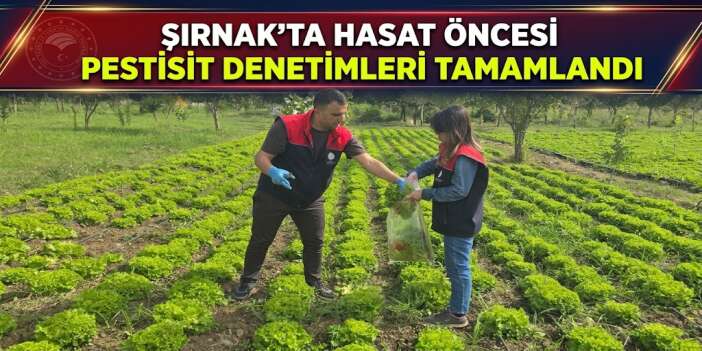 Şırnak’ta Hasat Öncesi Pestisit Denetimleri Tamamlandı