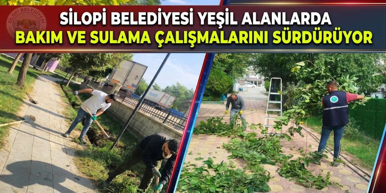 Silopi Belediyesi Yeşil Alanlarda Bakım ve Sulama Çalışmalarını Sürdürüyor