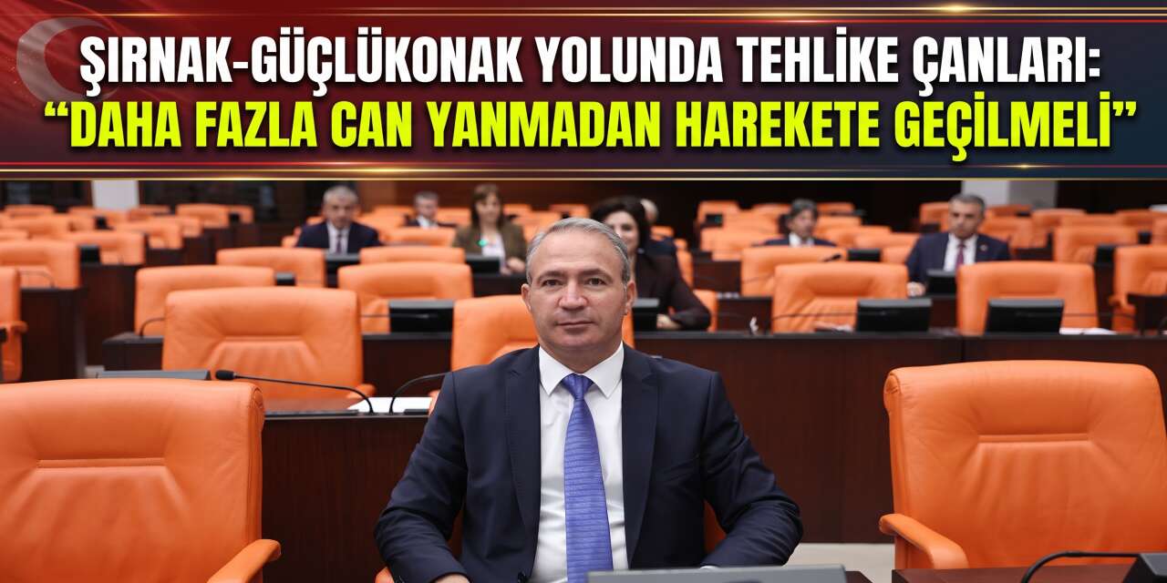 DEM Parti Milletvekili Zekir İrmez’den Şırnak-Güçlükonak Kara Yolu Açıklaması