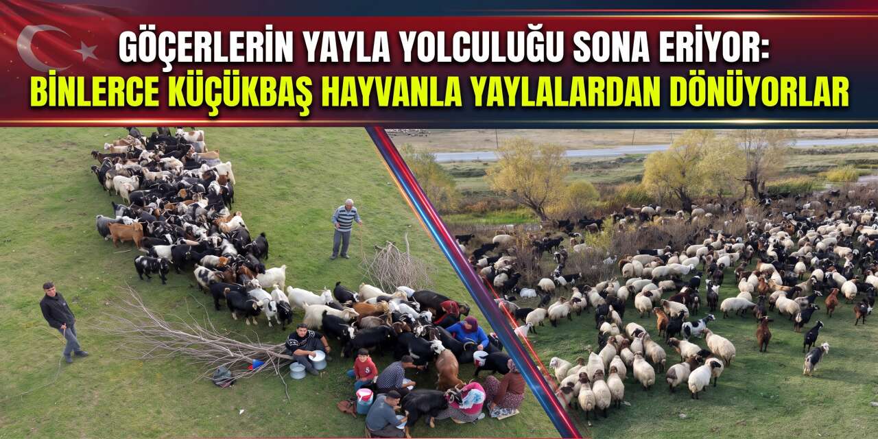Göçerlerin Yayla Yolculuğu Sona Eriyor: Binlerce Küçükbaş Hayvanla Yaylalardan Dönüyorlar