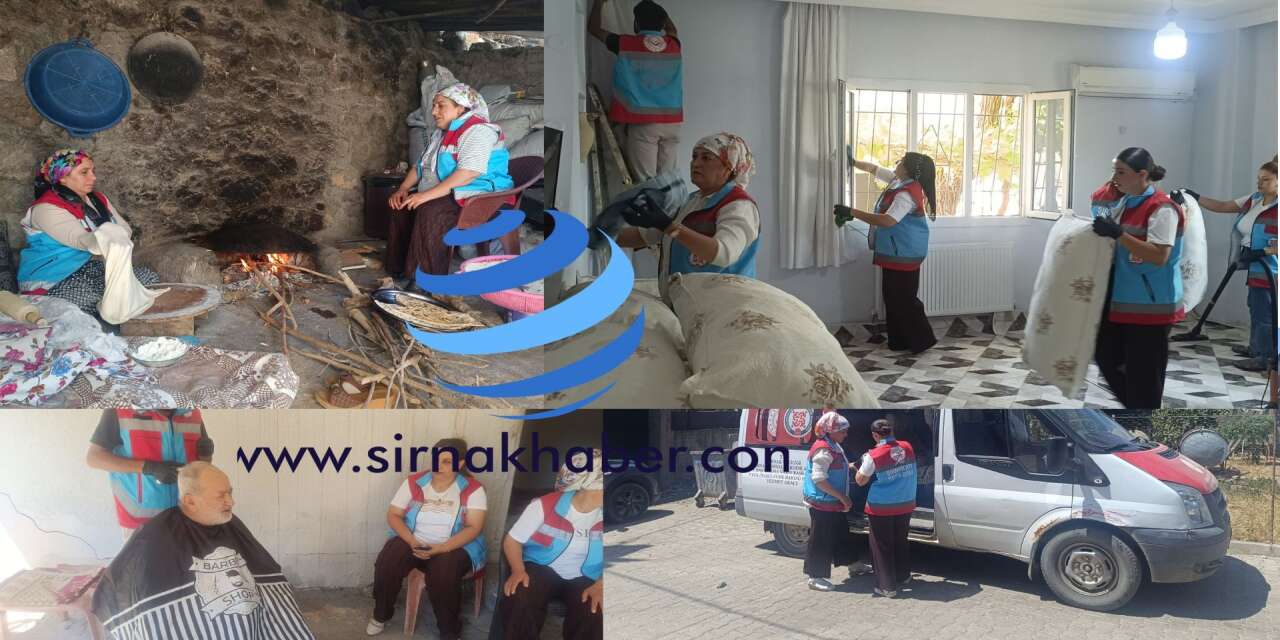 Şırnak’ta Devletin Şefkat Eli: 240 Haneye "Vefa" Hizmeti!