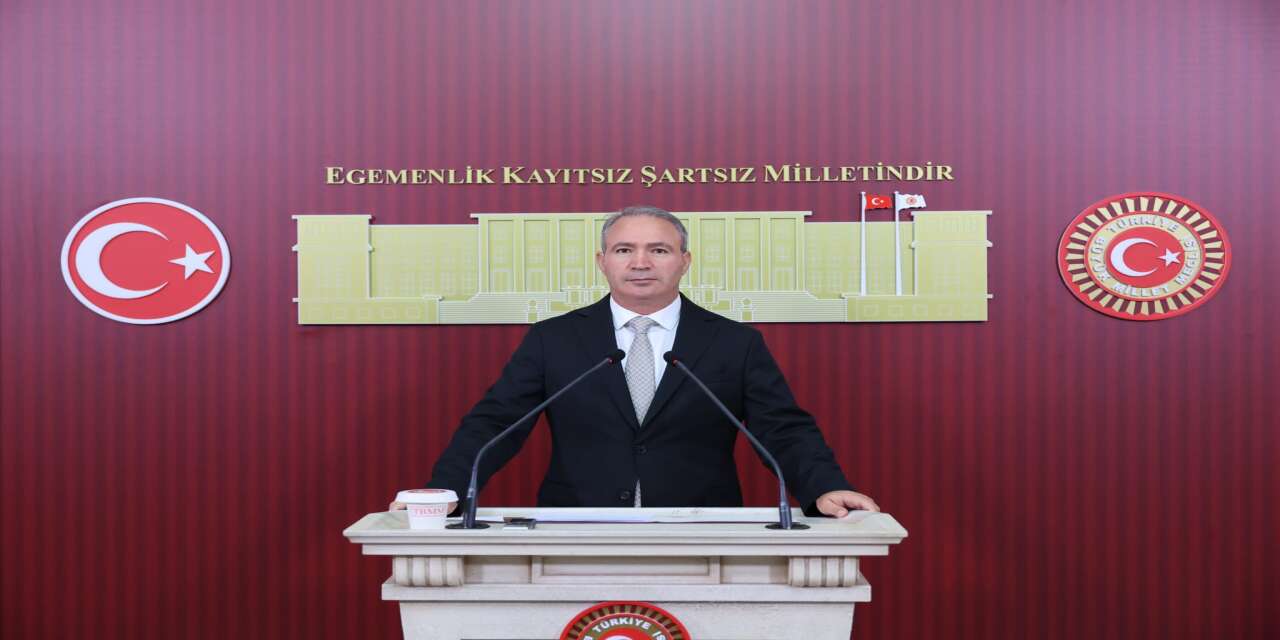 Vekil İrmez TBMM’den Şırnak’ın Üç Önemli Sorununu Gündeme Taşıdı