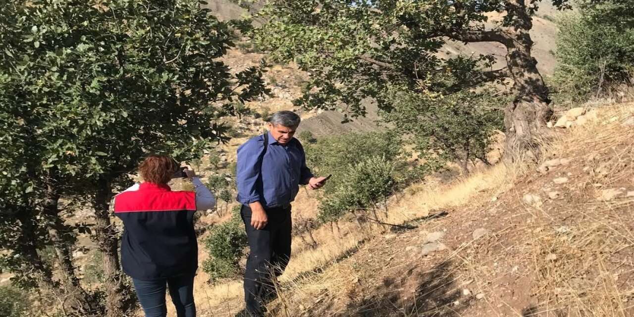 Şırnak’ta Mera Tespit Çalışmaları Başladı