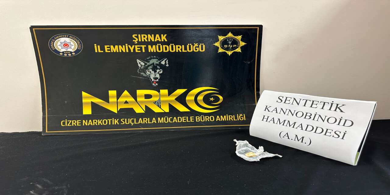 Şırnak’ta Bir Haftada 17 Kişi Tutuklandı, 51 Aranan Şahıs Yakalandı