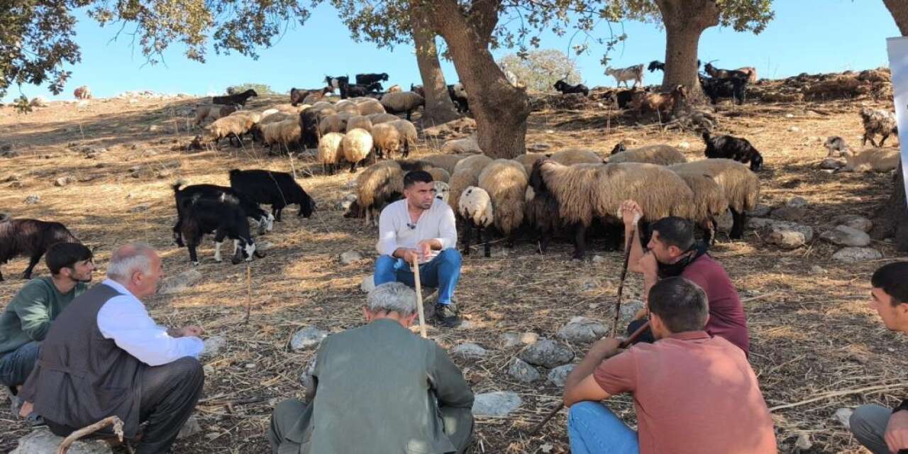 Cudi Dağı Eteklerinde Çobanlara Sürü Yönetimi Eğitimi