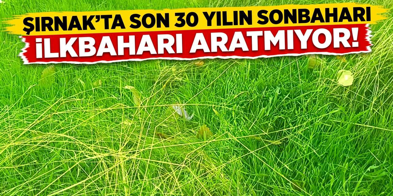 Şırnak’ta Son 30 Yılın Sonbaharı İlkbaharı Aratmıyor!
