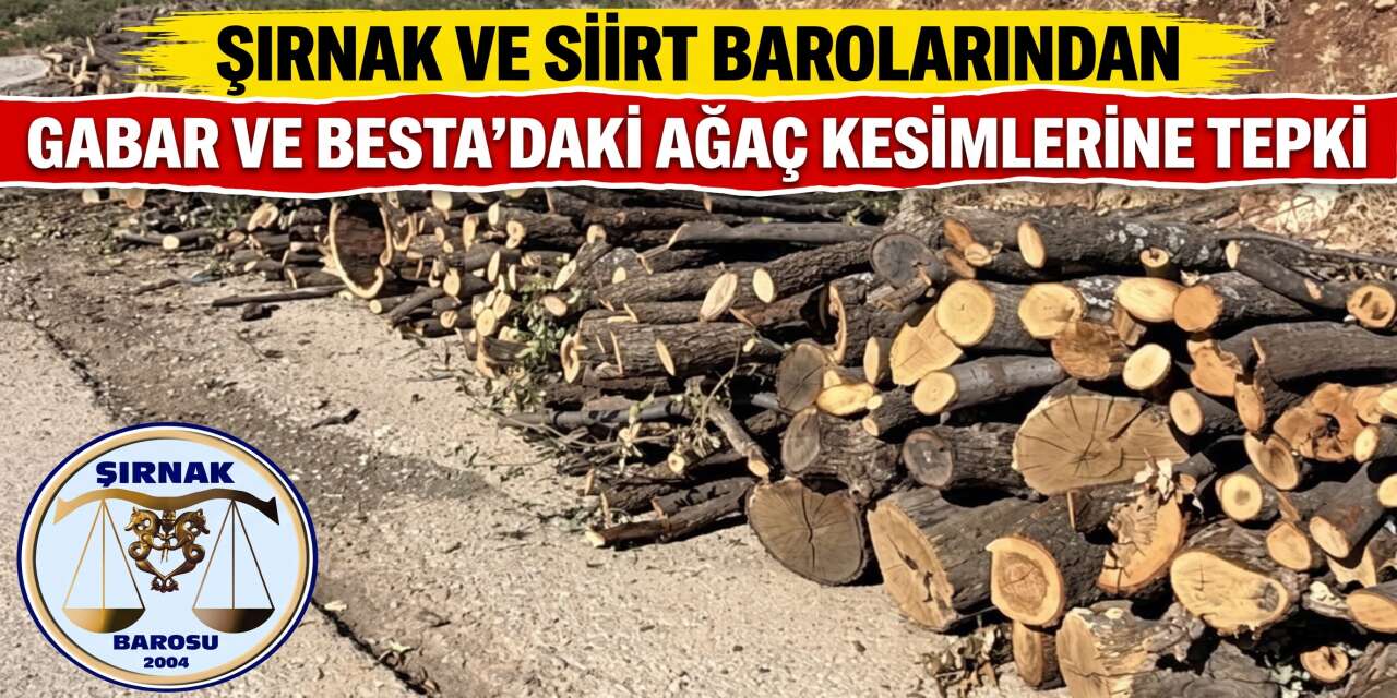 Şırnak Ve Siirt Barolarından Gabar Ve Besta’daki Ağaç Kesimlerine Tepki