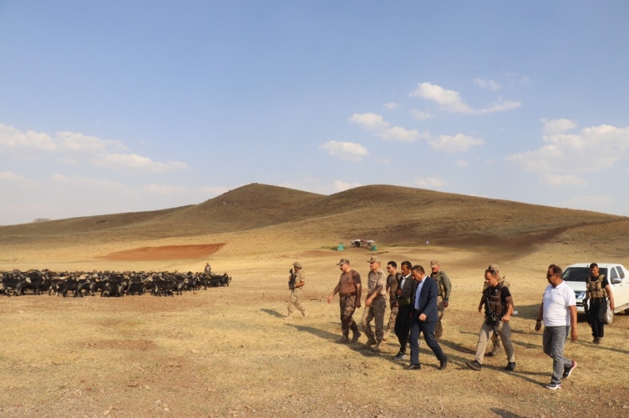 Siirt’te 1700 rakımlı yaylada artık silah sesleri yerine insan sesleri yankılanıyor