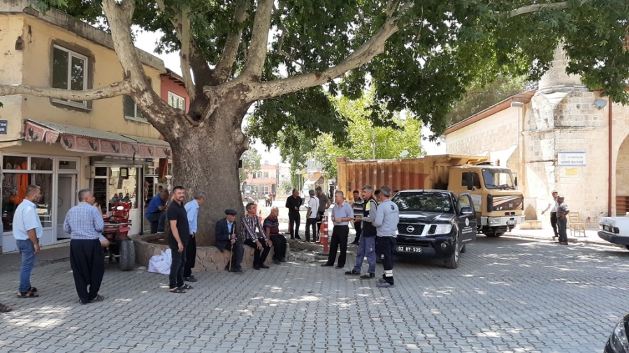 İzinsiz Kazıda Asırlık Anıt Ağacın Köklerini İş Makinesiyle Parçaladılar  