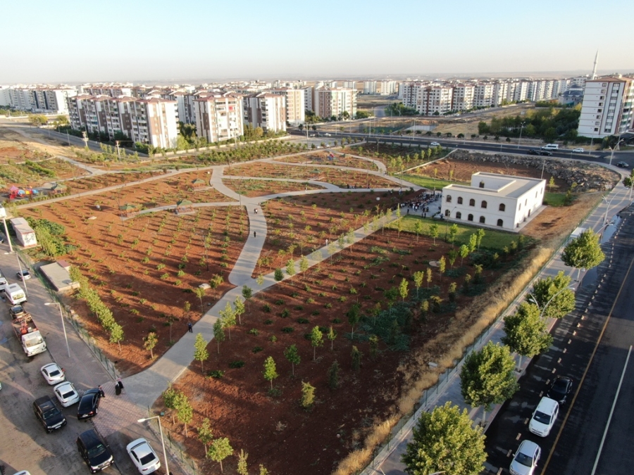  Bağlar Belediyesi 41 Ayda 300 Bin Metrekare Yeşil Alan Oluşturdu