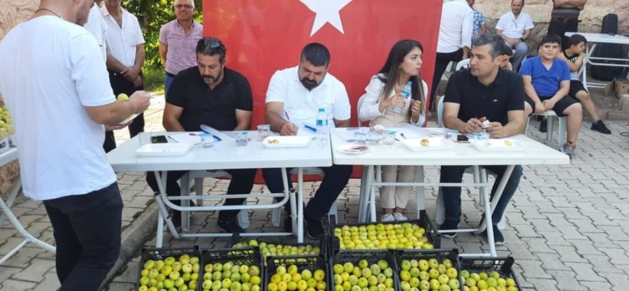 Gölbaşı İlçesinde İncir Festivali Düzenlendi     