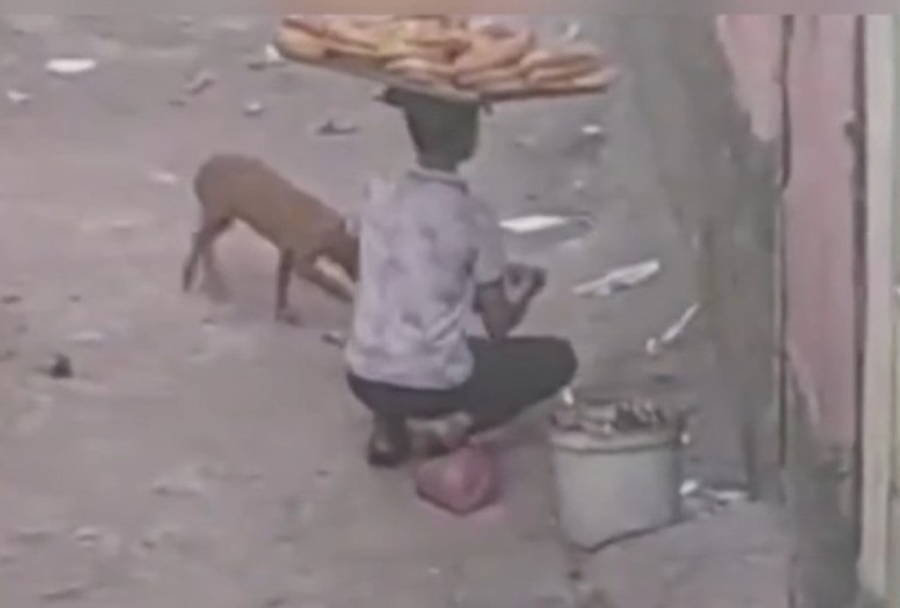 Simit Satan Çocuğun Yavru Kedi Ve Köpeğe Merhameti Yürekleri Isıttı  