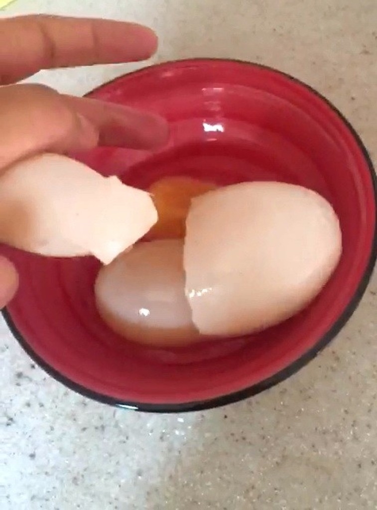 Yumurta içinden yumurta çıktı  