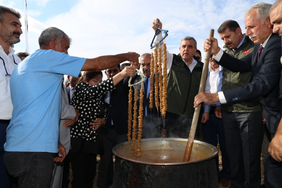 Şanlıurfa'da bağ bozumu festivali
