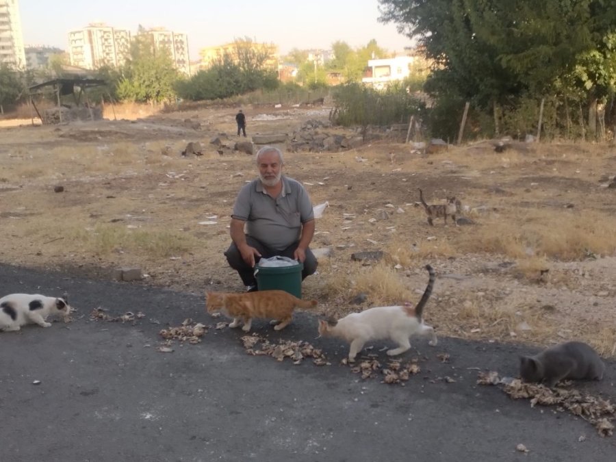 Diyarbakır’ın Derman Baba’sı sokak hayvanlarını unutmadı  