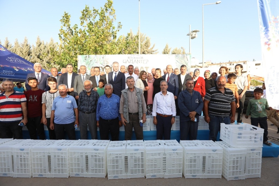 Çiftçilere hasat kasası dağıtıldı  
