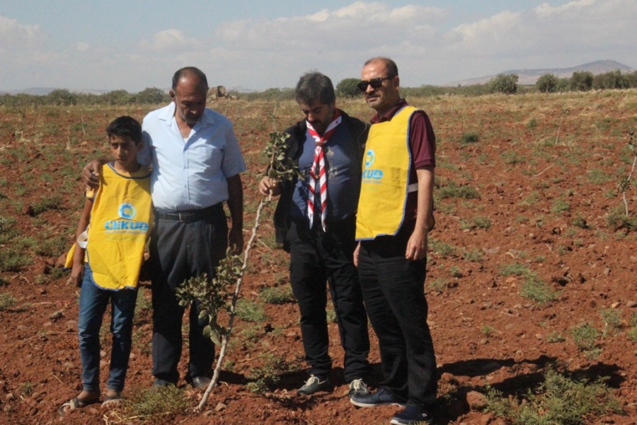 Kilis’te çiftçiye fidan desteği  