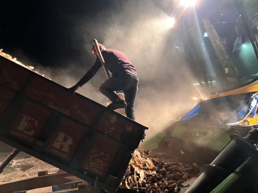 Güvenlik önlemi almadan biçerdöverin içine mısırları atan çiftçi yürekleri ağza getirdi  