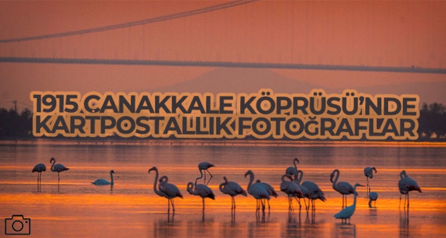 1915 Çanakkale Köprüsü'nde kartpostallık fotoğraflar