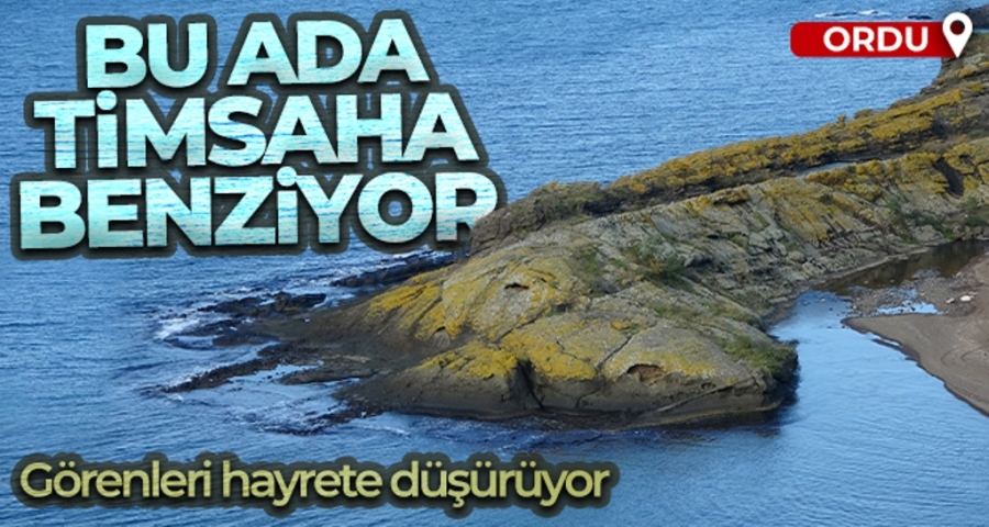 Bu ada timsaha benziyor