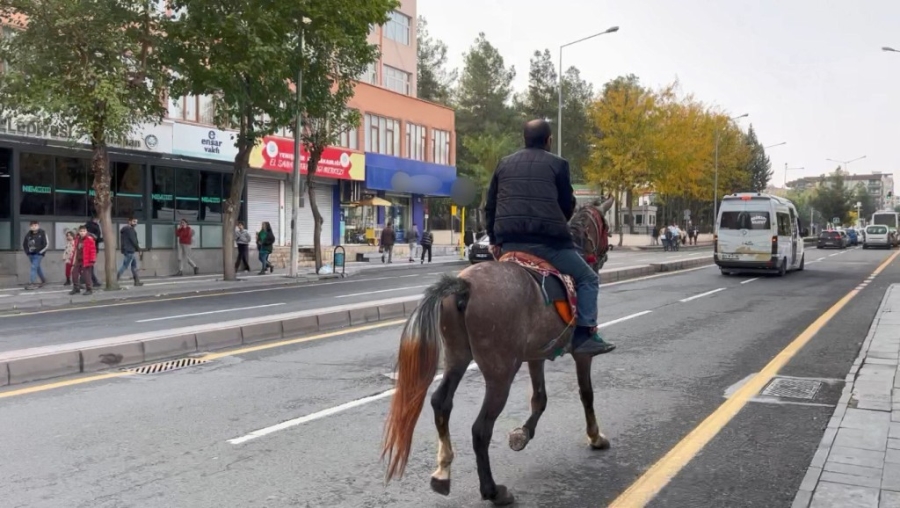 Şehrin ortasında atla tur attı 