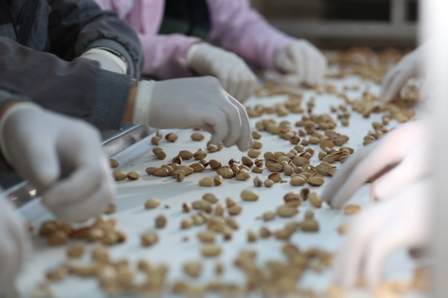 Siirt fıstığı kendi markasıyla ilk ihracatını Almanya’ya gerçekleştirdi