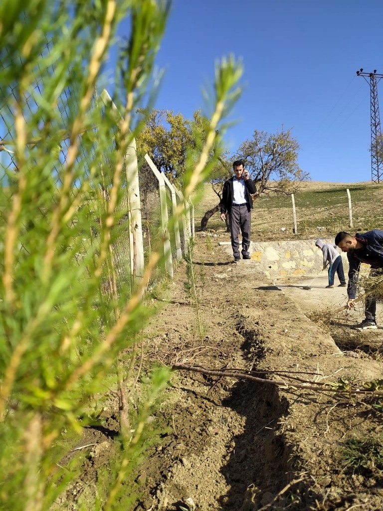 Kulplu muhtardan örnek davranış: Boş gördüğü her yere fidan dikiyor