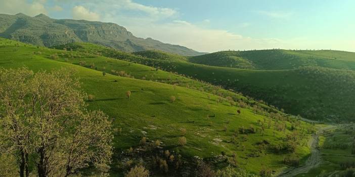 Şırnak'ta Hafta Sonu Planı Olanlar Dikkat! Sağanak Geri Dönüyor
