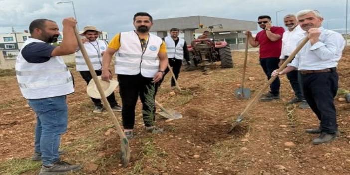 Silopi’de Hastane Bahçesine 450 Fidan Dikildi