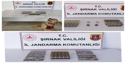 Şırnak’ta 3 Milyon TL Değerinde Kaçak Malzeme Ele Geçirildi!