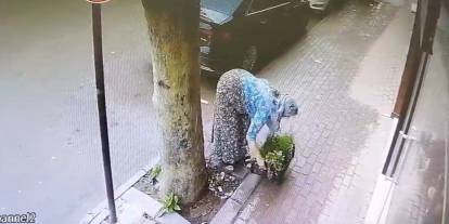 Bir kasa çiçeği böyle götürdü