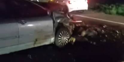 Hayvan sürüsüne çarpan Otomobil 25 koyunu telef etti