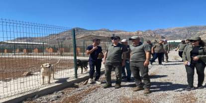 Şanlıurfa DKMP Bölge Müdürü Mumcuoğlu'ndan Silopi Sahipsiz Hayvan Bakımevi'ne Ziyaret