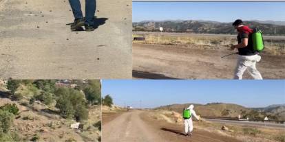 Her Yerde Görülmeye Başladı! Şırnak’ta Panik Yaratan Olay