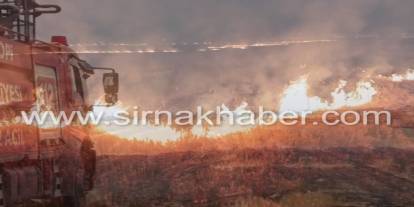Silopi'de iki ayrı anız yangınında toplam 130 dönüm alan zarar gördü