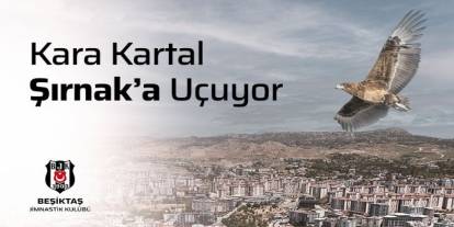 Şırnak Dev Buluşmaya hazırlanıyor! Beşiktaş, Şırnak’a geliyor