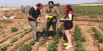 Şırnak'ta Bitki Sağlığı İçin Feromon Tuzak Kontrolleri Yapıldı