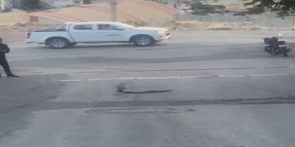 (Videolu) Şırnak’ta Yılan Endişesi: Bu Kadarını İlk Kez Görüyoruz