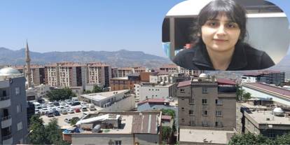 Şırnak Çalışan Gazeteciler Cemiyeti,"Gazeteci Zeynep Durgut Yanlız Değildir"