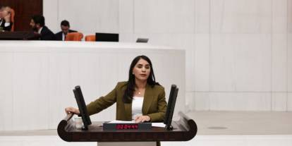 “Gabar’da Ne Su Kaldı Ne Ağaç: Şırnak’tan Meclis’e Feryat”
