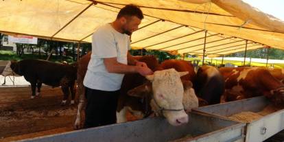 Şırnak dahil 81 ildeki tüm hayvan pazarları kapatıldı