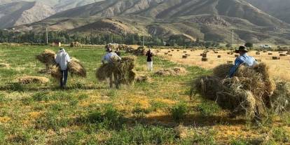 Hakkari'de Kızgın güneş altında ekmek mücadelesi