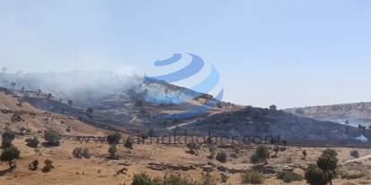 Silopi'de Büyük Yangın Faciası Engellendi: 100 Dönüm Alan Zarar Gördü