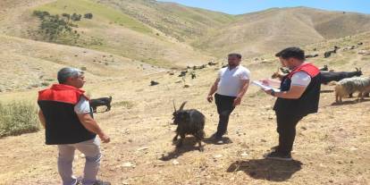 Şırnak'ta Kırsal Kalkınmada Uzman Eller Projeleri Mercek Altında!