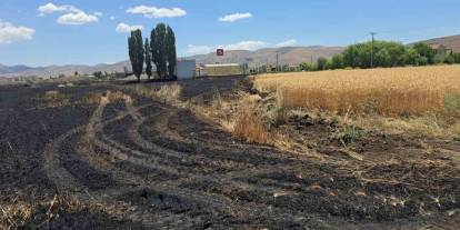 Elazığ’da 23 dönüm buğday, yanarak kül oldu