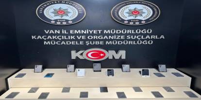 Van’da gümrük kaçakçılığı operasyonu