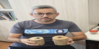 İstilacı Böcekler Sınır Kapılarında Köpeklerle Tespit Edilecek!